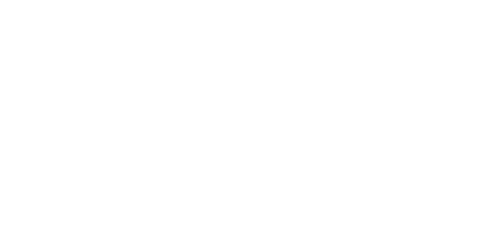 Logo White
